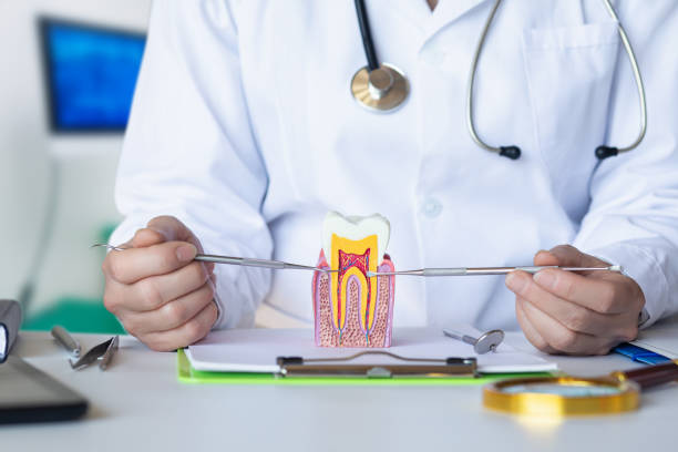 Best Emergency Dental Surgery in Mathews, LA